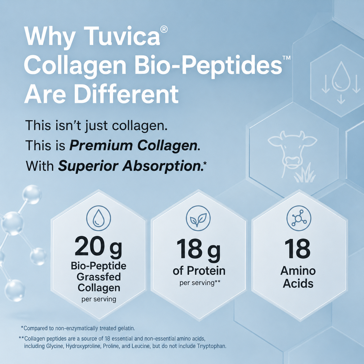 Péptidos Biocolágeno Proteína